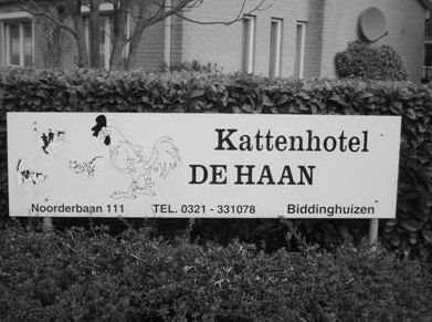 Interview met de balsponsor…