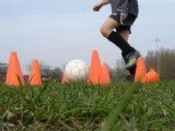 Trainingen beginnen weer!
