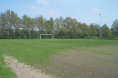 BAS F5 zomerkampioen!